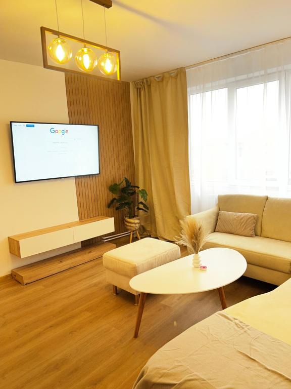 a living room with a couch and a tv at Apartament Atrium Gara Afi in Arad