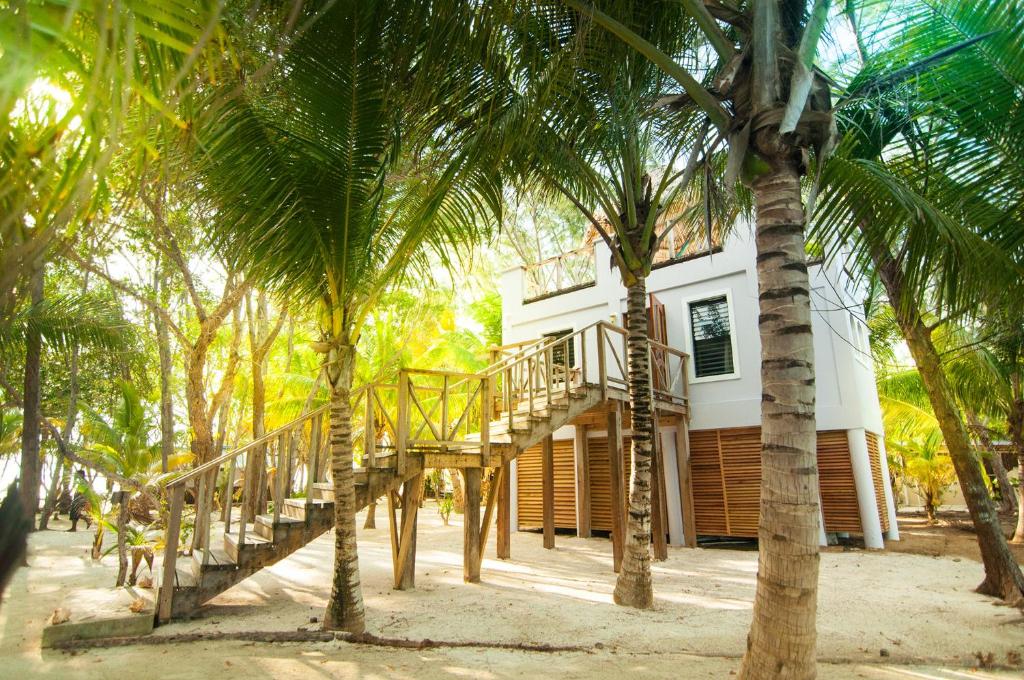 Thatch Caye Resort a Muy'Ono Resort photo 4