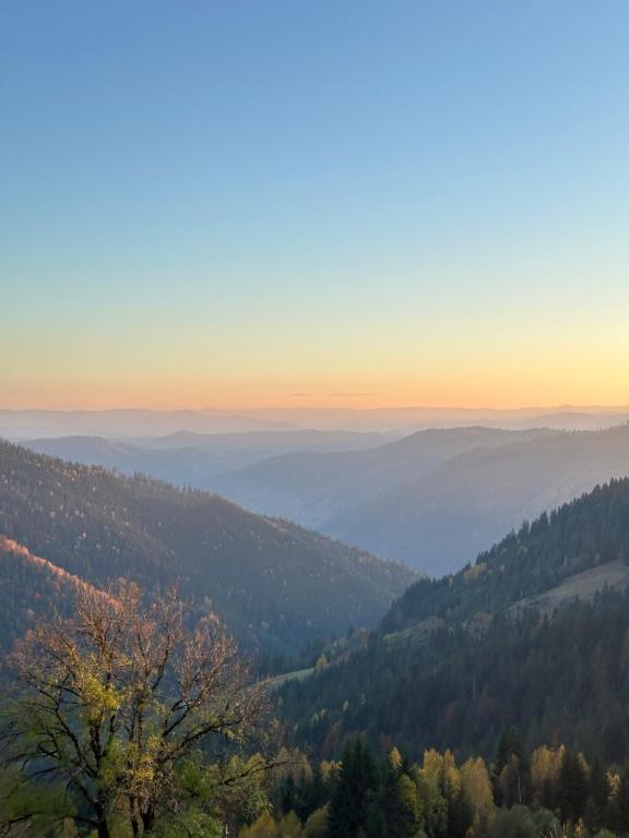 a view of a valley with a tree in the foreground at Гойра in Verkhniy Yasenov