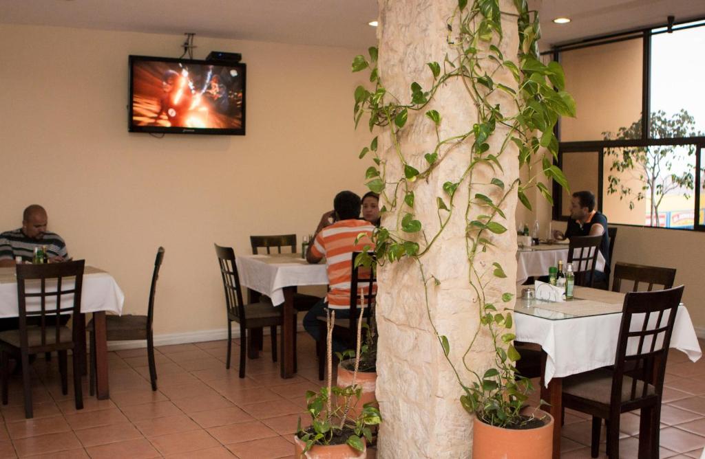 Restaurace v ubytování Hotel Novo