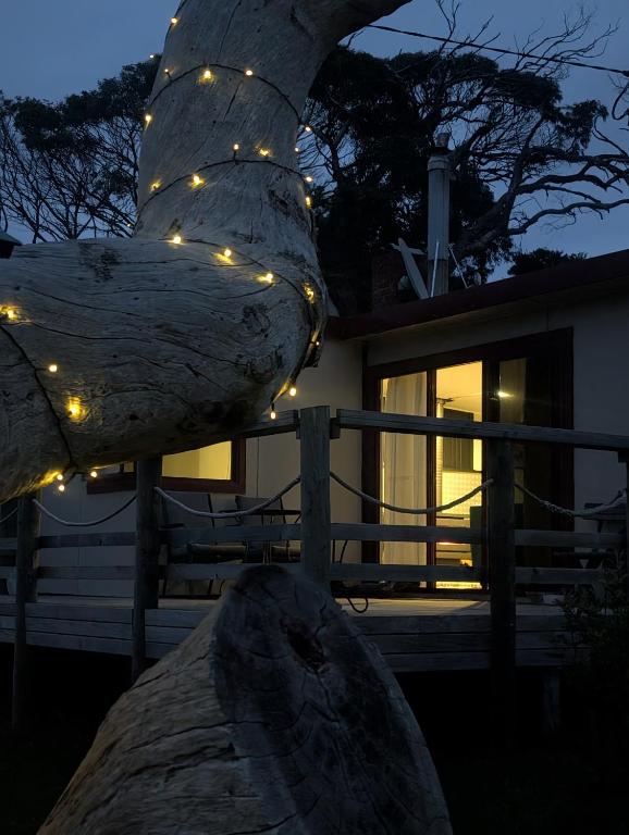 a tree with lights on it next to a bench at Salty Devil's Rest - Coastal Wilderness Shack in Arthur River