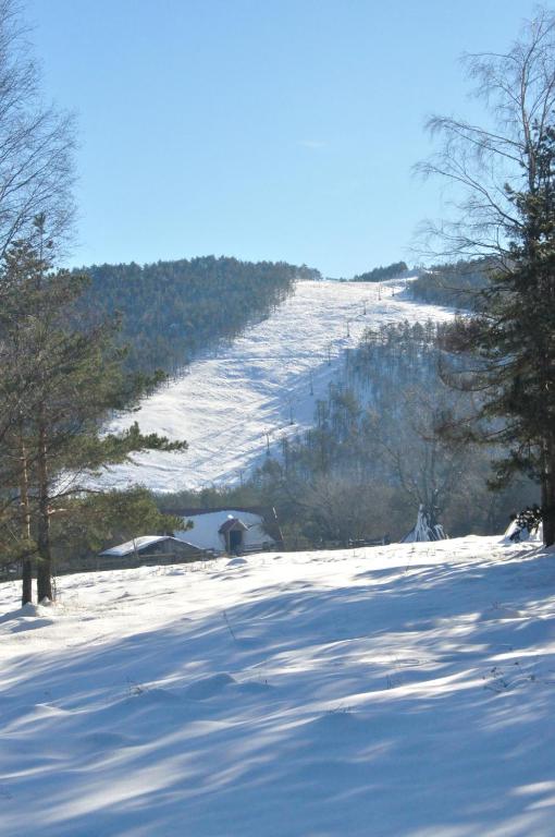 Apartments Varga talvel