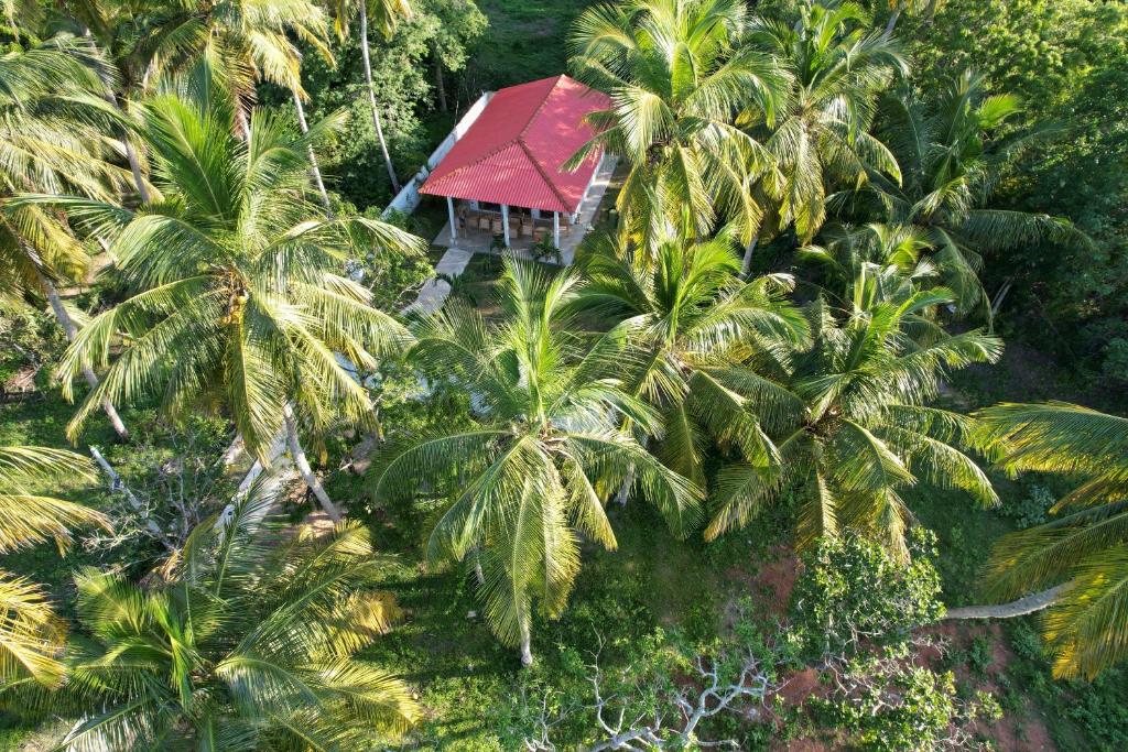 an aerial view of a house with palm trees at Villa Palm in Rekawa