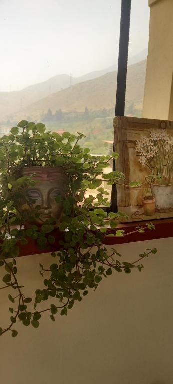a potted plant sitting on a window sill with a view at Large quiet apartment in condominium in Santa Eulalia