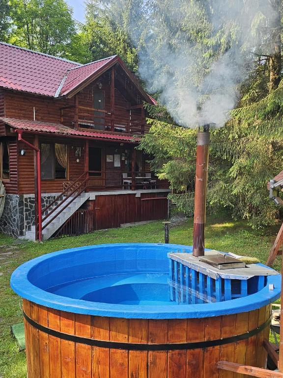 a hot tub in front of a log cabin with a hot tub at Casa Arion in Arieşeni