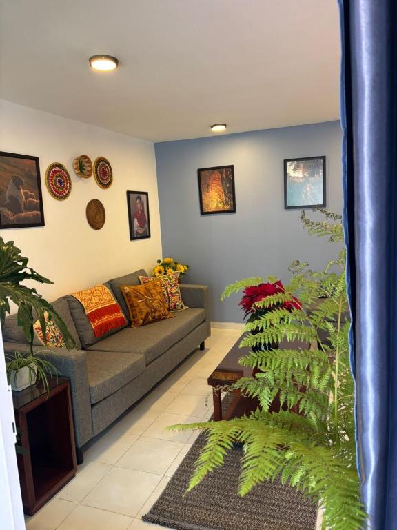 a living room with a couch and a plant at departamento Terraza Amecameca II in Amecameca de Juárez