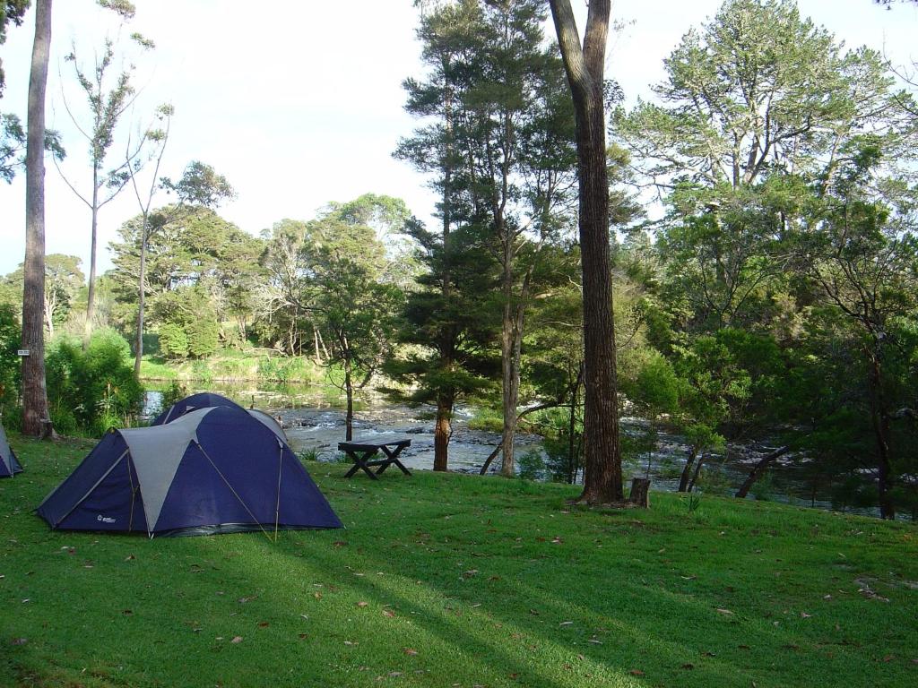 Bay of Islands Holiday Park - Resim 25