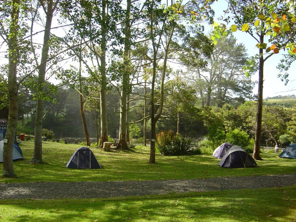 Bay of Islands Holiday Park - Resim 27