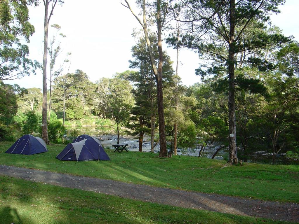 Bay of Islands Holiday Park - Resim 26