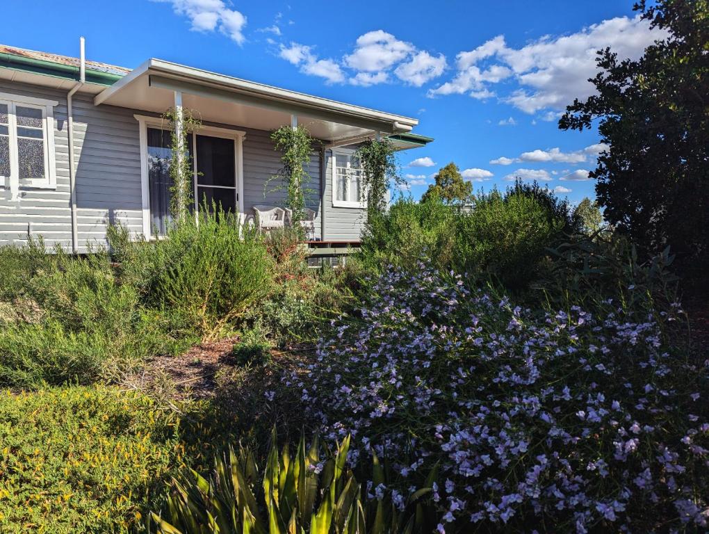 a house with purple flowers in the yard at Herbgully Cottage in Roma