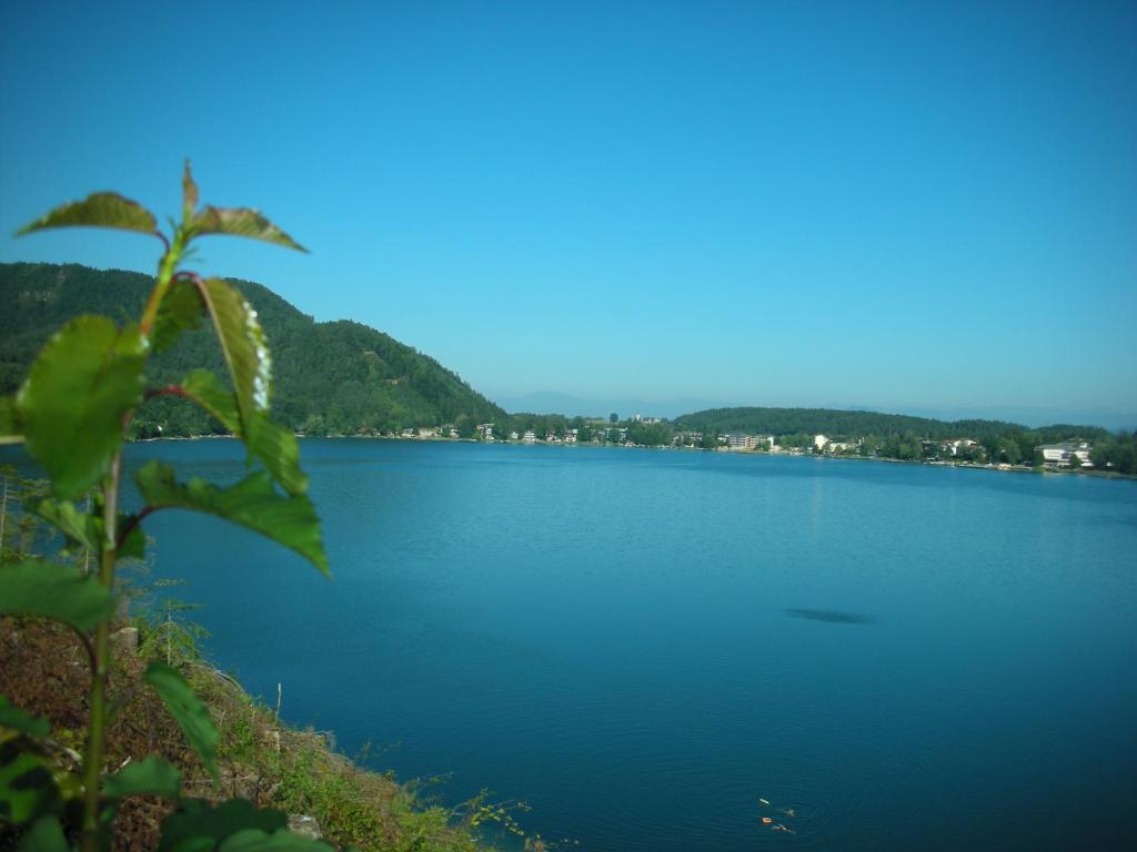 Príroda v okolí apartmánu