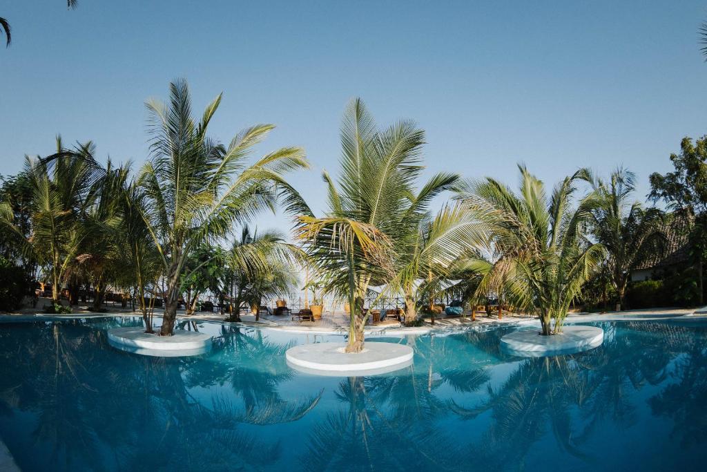 a swimming pool with palm trees and blue water at Kidoti Bay in Kidoti