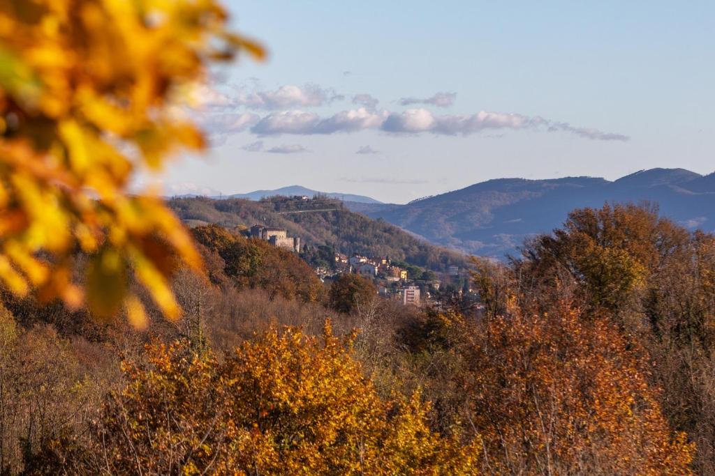 a town on top of a hill with trees at Alloggi agrituristici Paraschos in San Floriano del Cóllio