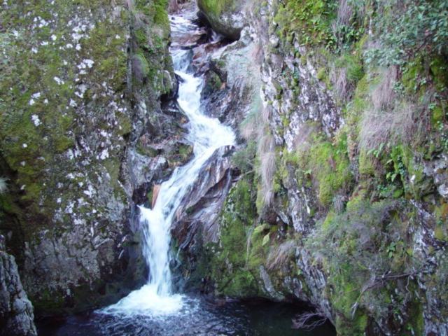 Descanso Serrano - 13