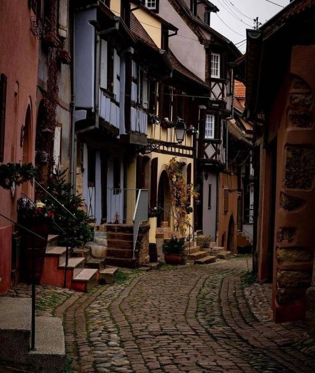 La Suite des Maraîchers – photo 45