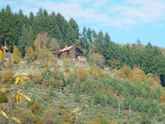 Descanso Serrano - 8