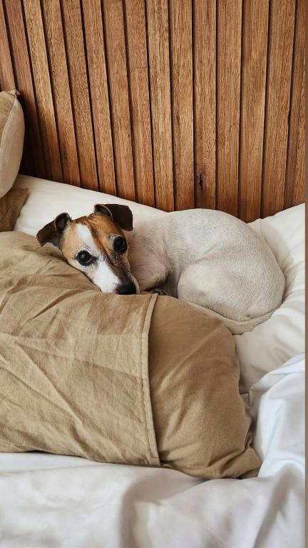 Hotel Termal Dolores