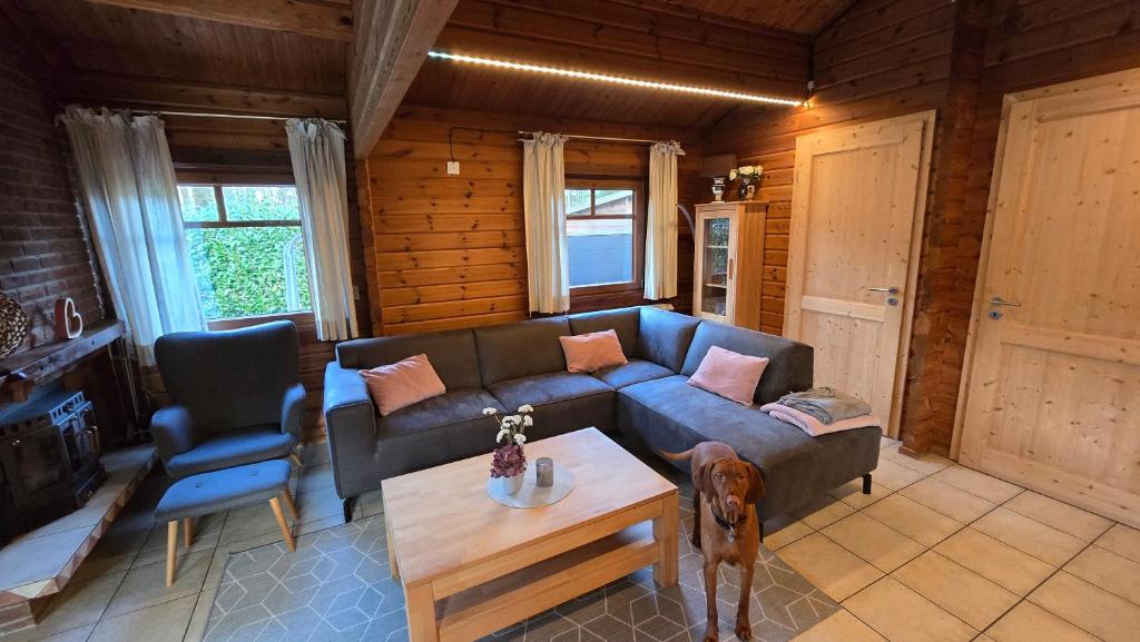 a living room with a couch and a dog at Das Haus Kaninchenhöhle in Dankern