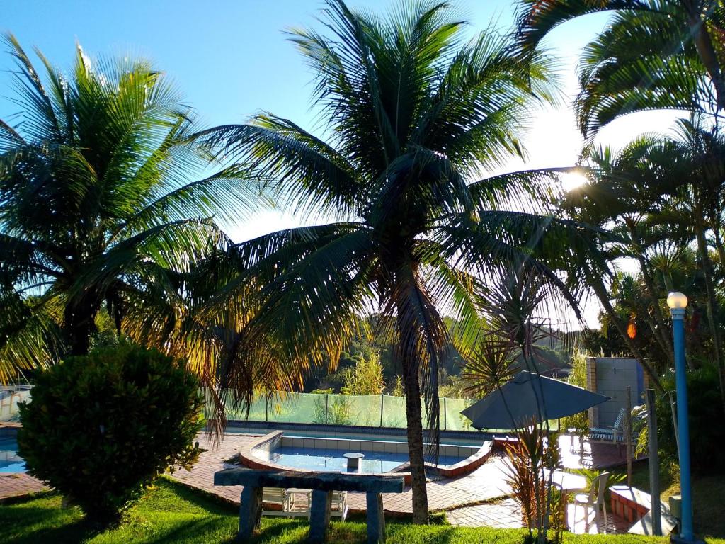a picnic table under a palm tree next to a pool at HervaDoce in Rio das Ostras