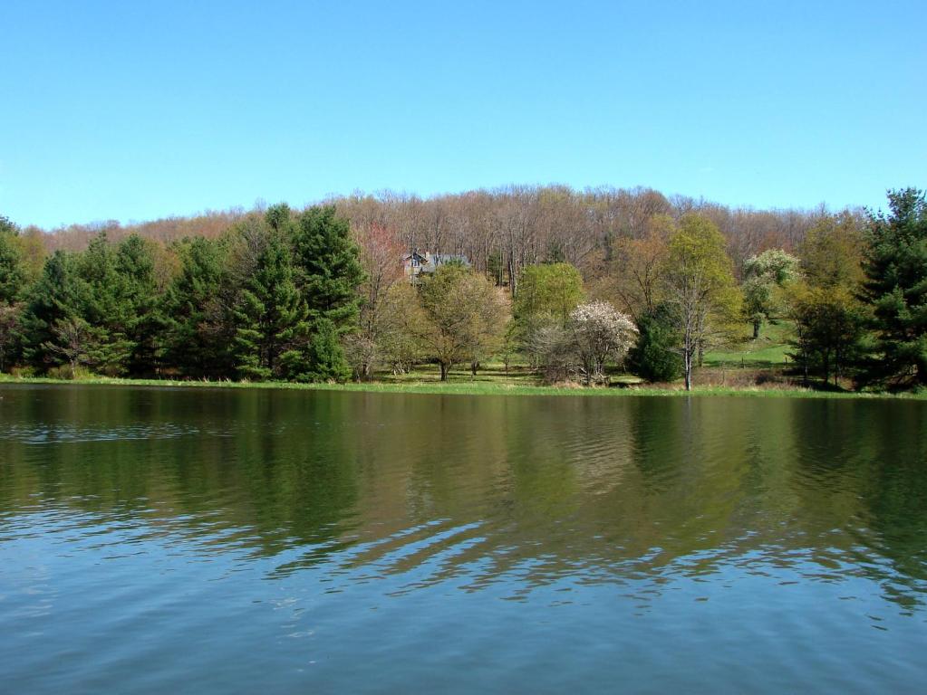 a view of a lake with trees in the background at Meadow Lake View by Railey Vacations in Swanton