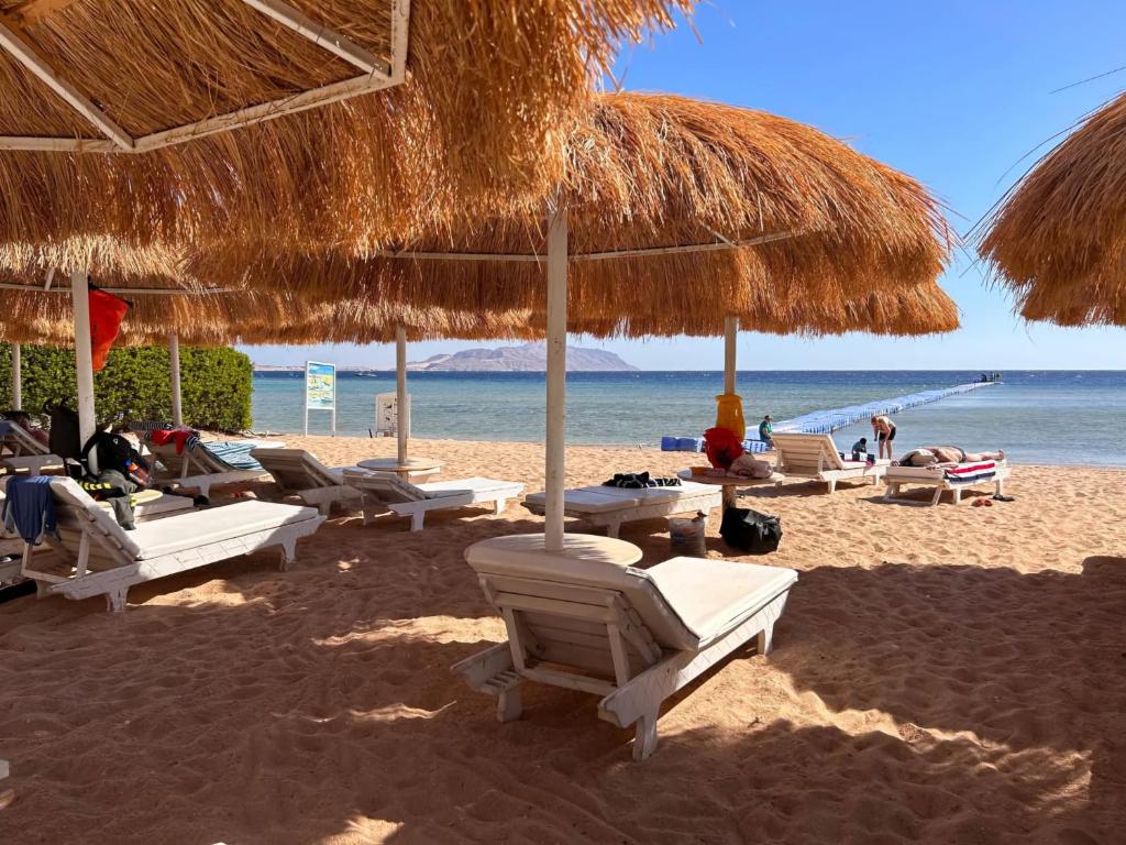 a group of chairs and umbrellas on a beach at Sharm hills sea view in Sharm El Sheikh