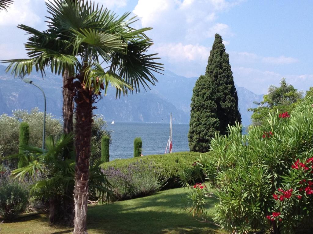 a palm tree in a garden with a view of the water at Casa Pagani in Brenzone sul Garda