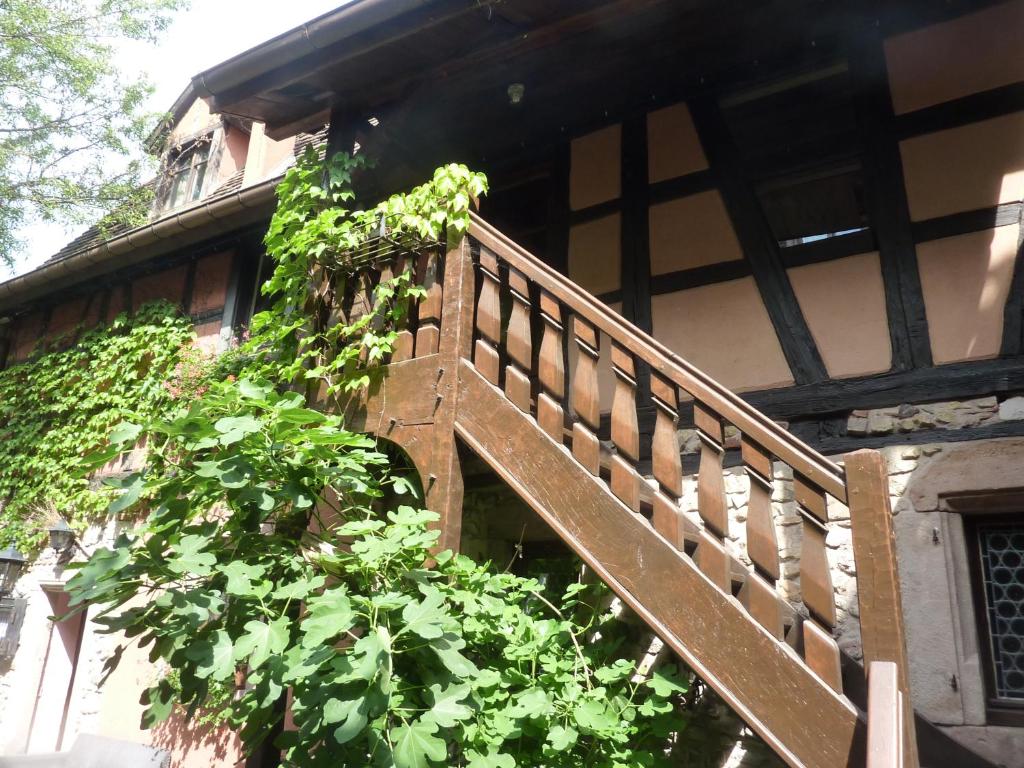 Chez Norbert – photo 11
