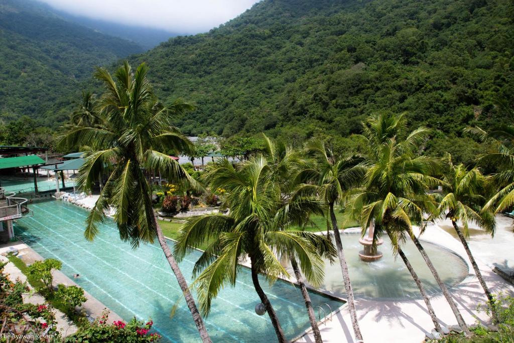 WenquanにあるAyawan Hot Spring Resortのヤシの木と山を背景にしたプール