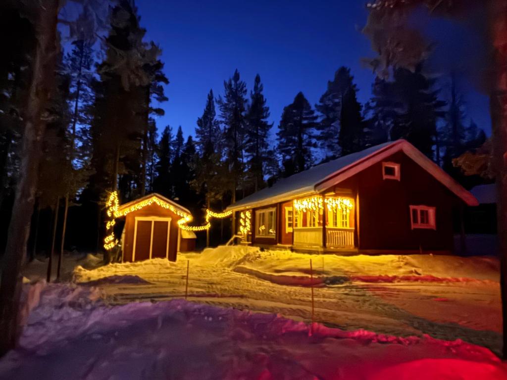 a house covered in lights in the snow at night at Metsäkimara in Kittilä