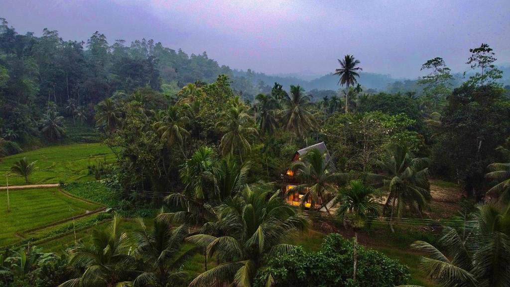 a resort in the middle of a jungle with palm trees at Rainforest Royal Heritage in Deniyaya