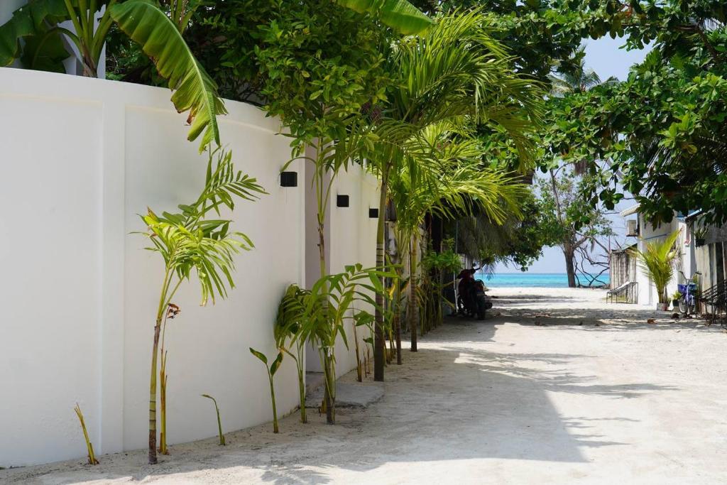 a white wall with trees on the side of a beach at Sea Tides Dhangethi in Dhangethi