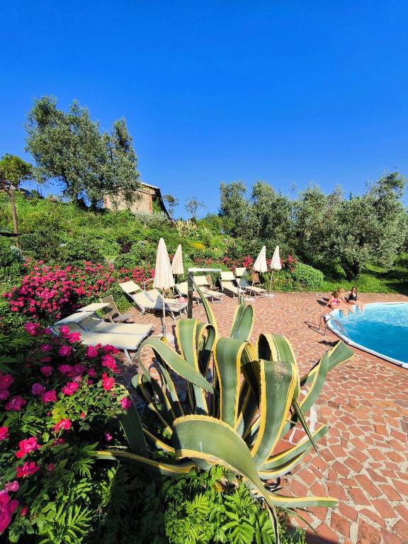 a group of chairs and flowers next to a swimming pool at Agriturismo I Pitti in Serravalle Pistoiese