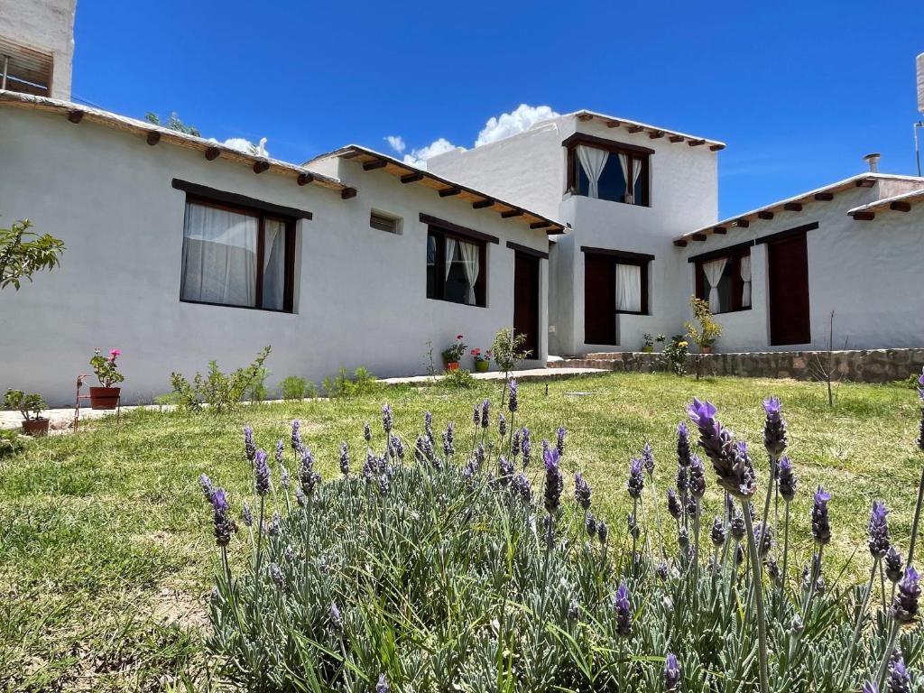 a house with purple flowers in front of it at Balcones del Pintor in Maimará