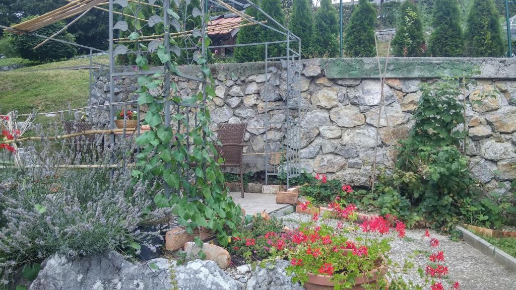 Zahrada ubytování Darja Guesthouse