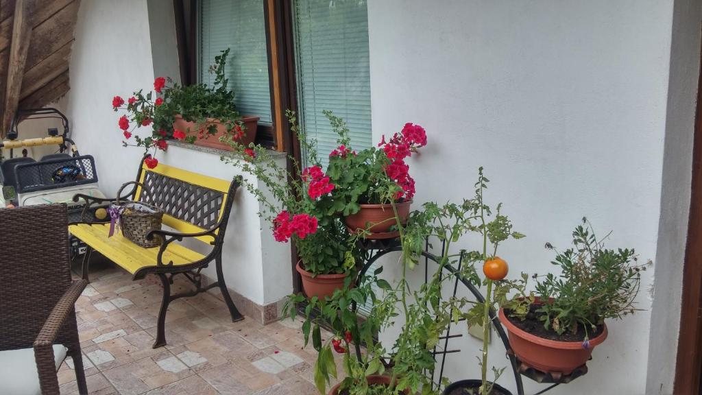 Balkón nebo terasa v ubytování Darja Guesthouse