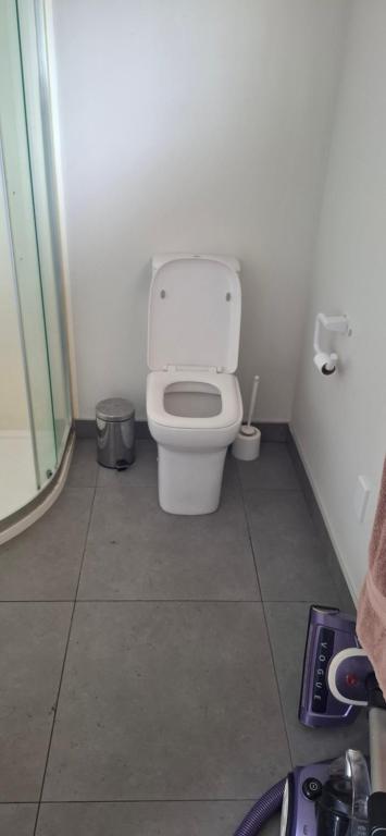 a small bathroom with a toilet and a shower at Private cabin in Whitianga