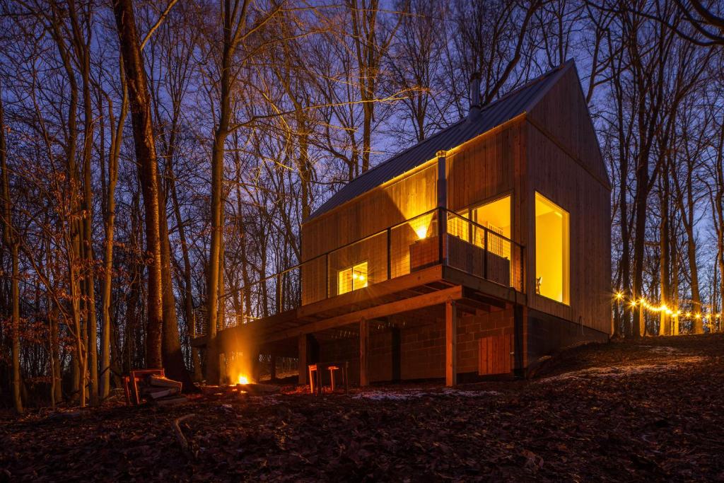 a house in the middle of a forest at night at The Primrose in Logan