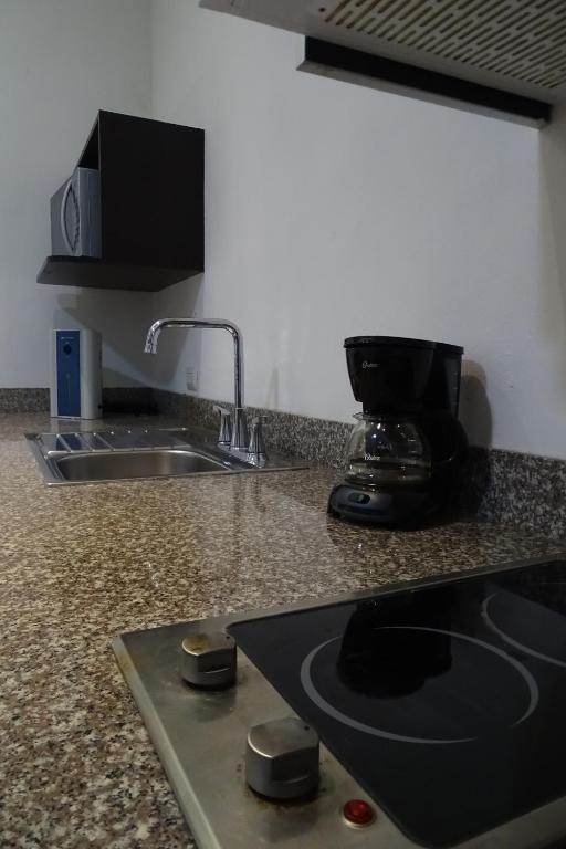 Kuchyň nebo kuchyňský kout v ubytování Aparthotel Siete 32
