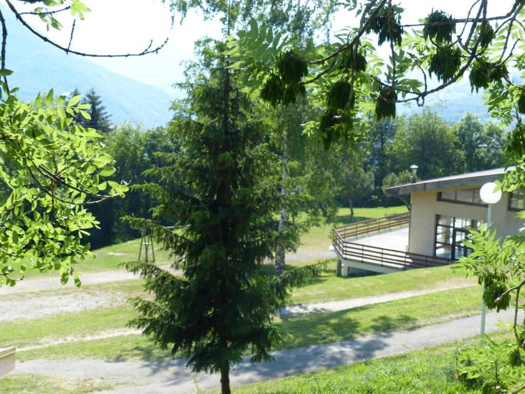 a pine tree in front of a building at Les Aveilles in La Motte-dʼAveillans