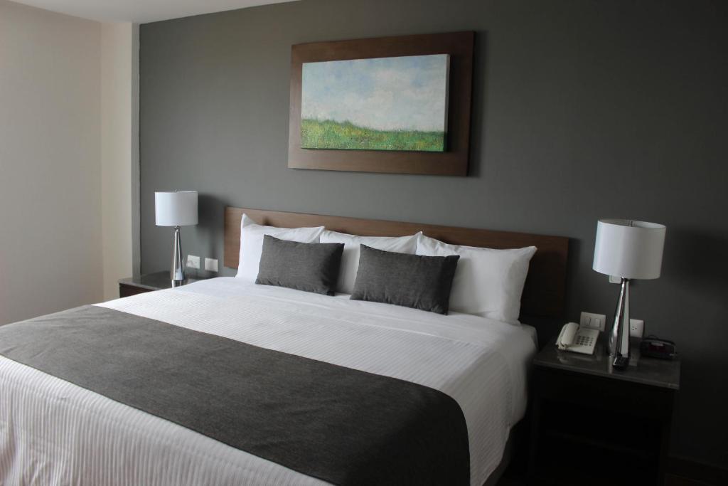 Postel nebo postele na pokoji v ubytování Eco Hotel Guadalajara Expo