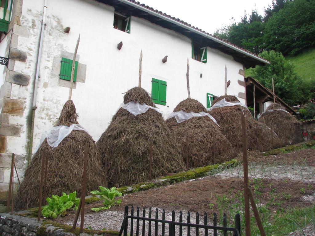 Zahrada ubytování Albergue Olasenea Aterpea