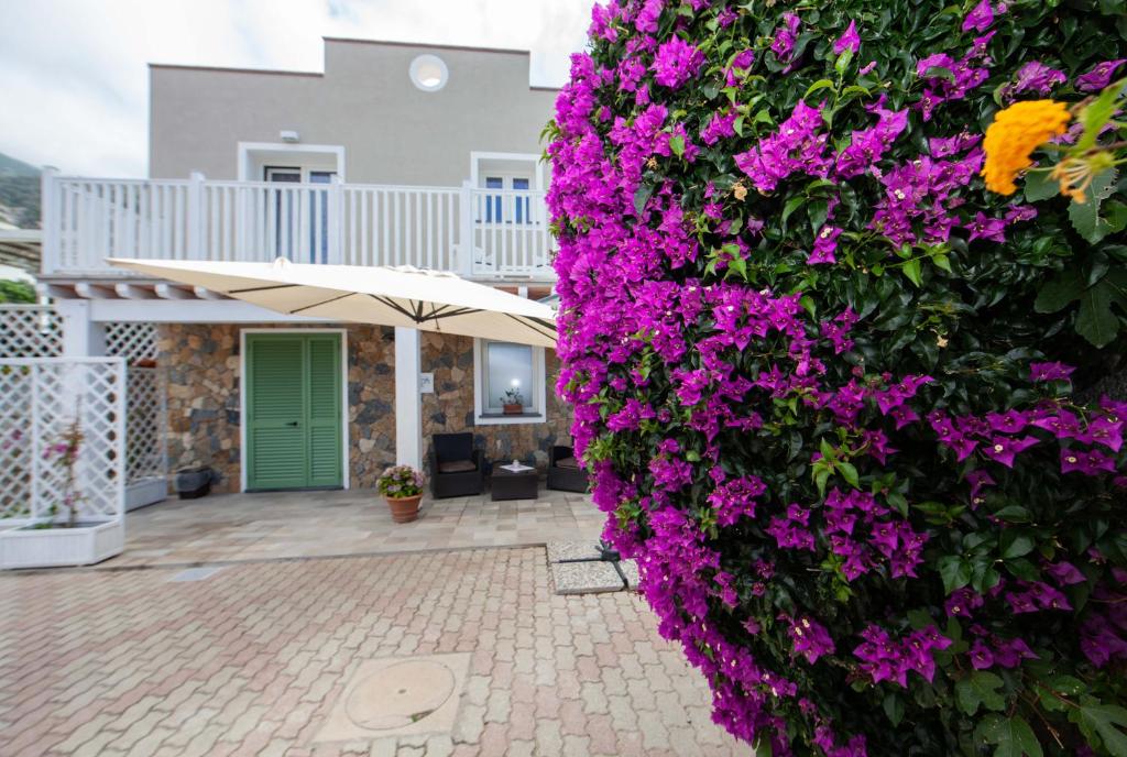 a large wall of purple flowers in front of a house at Cala Azzurra in Marciana