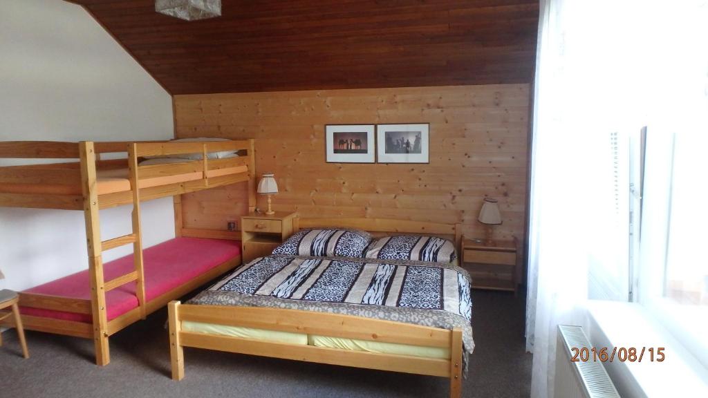 ein Schlafzimmer mit einem Etagenbett und einer Leiter in der Unterkunft Dům Jaroslava in Černý Důl