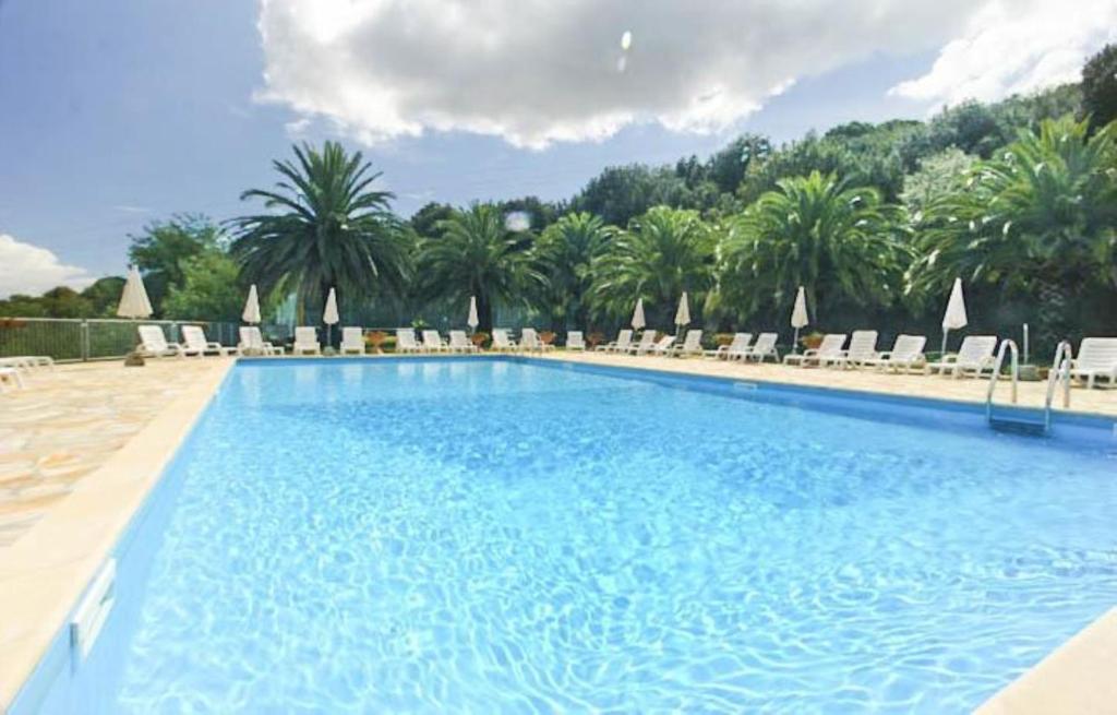 a large swimming pool with chairs and palm trees at Capoliveri Lecce Home in Capoliveri