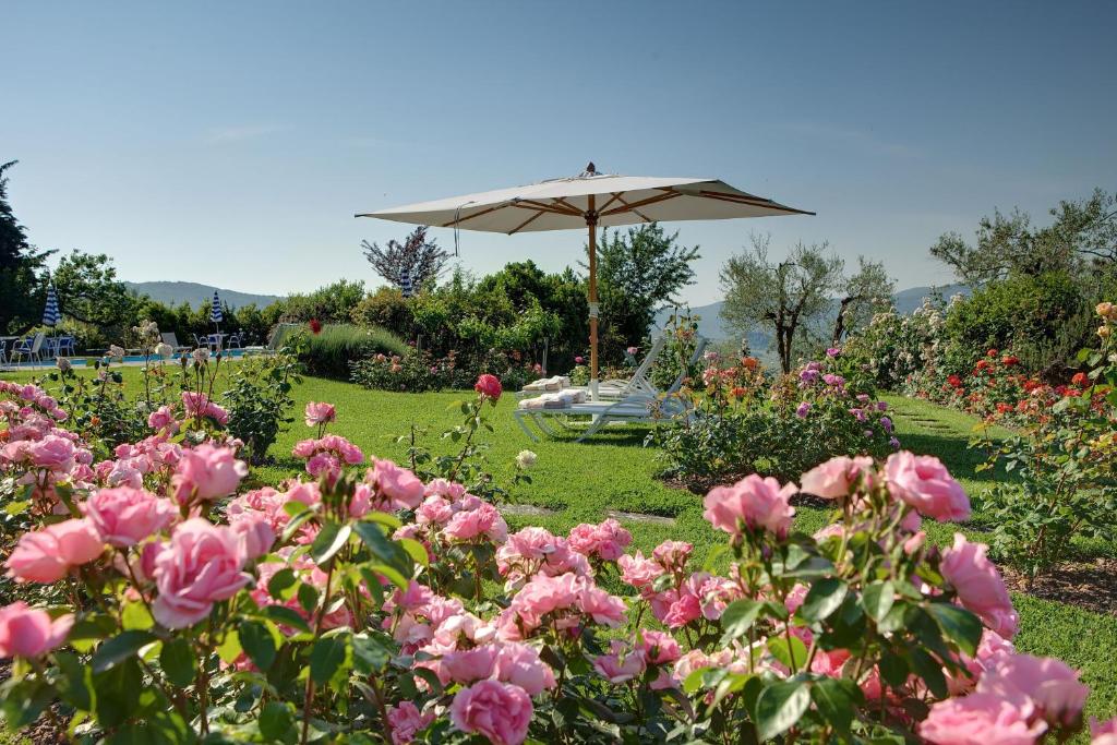 Ogród w obiekcie Villa Le Barone