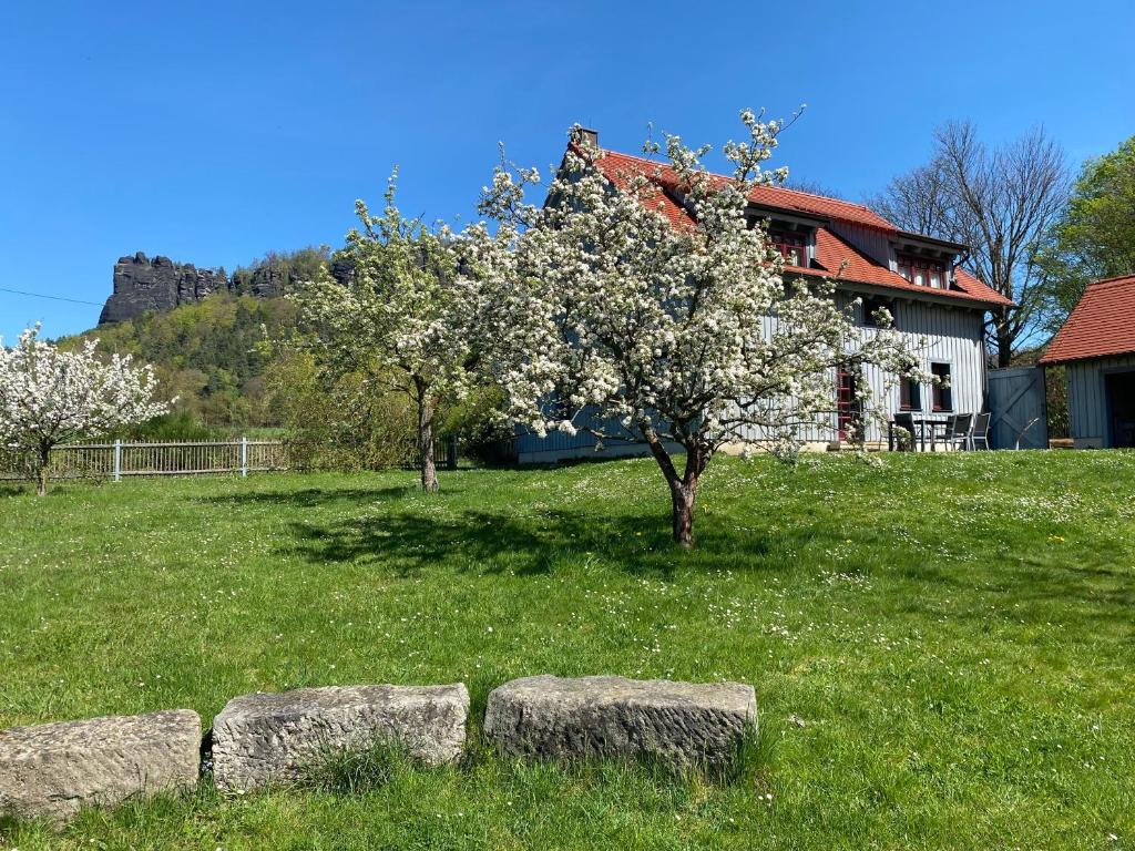 a house with a tree and some rocks in a field at Waldhaus am Lilienstein in Königstein an der Elbe