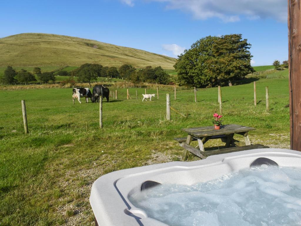 a bath tub in a field with cows in the background at Shepherds Hut - Uk50043 in Chipping