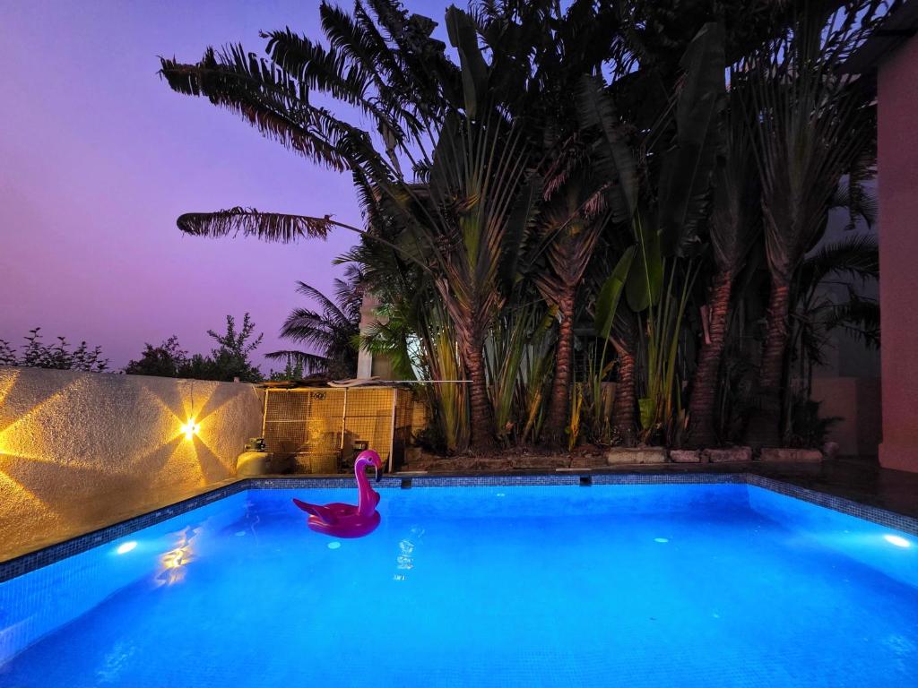 a swimming pool at night with a pink flamingo at ll EMPYREAN STAYS ll SUPREME VILLA II 3BHK II AC II PVT POOL II MINI BAR in Lonavala