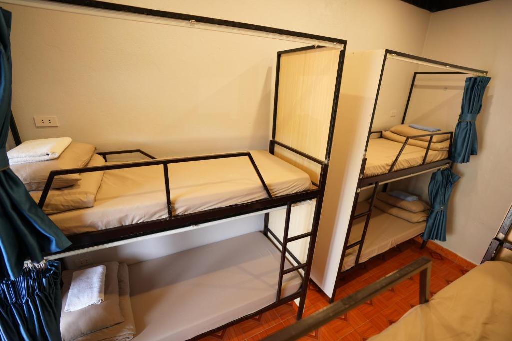 Woodstock Beach Camp - 16