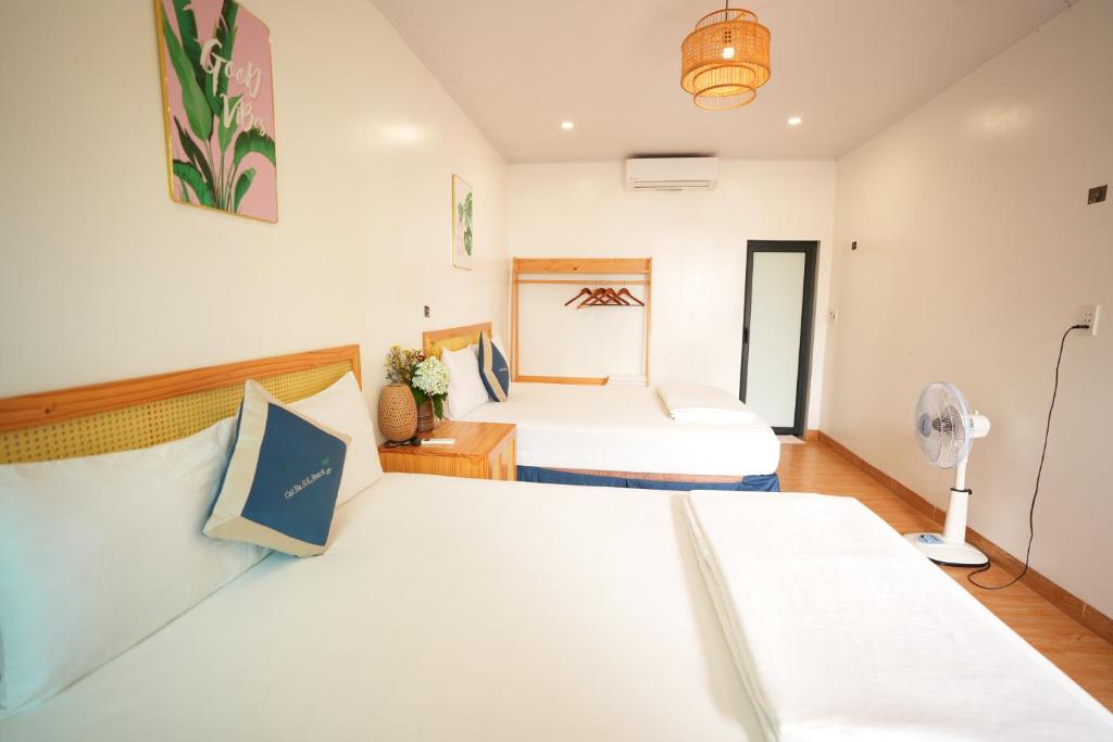 Woodstock Beach Camp - 3